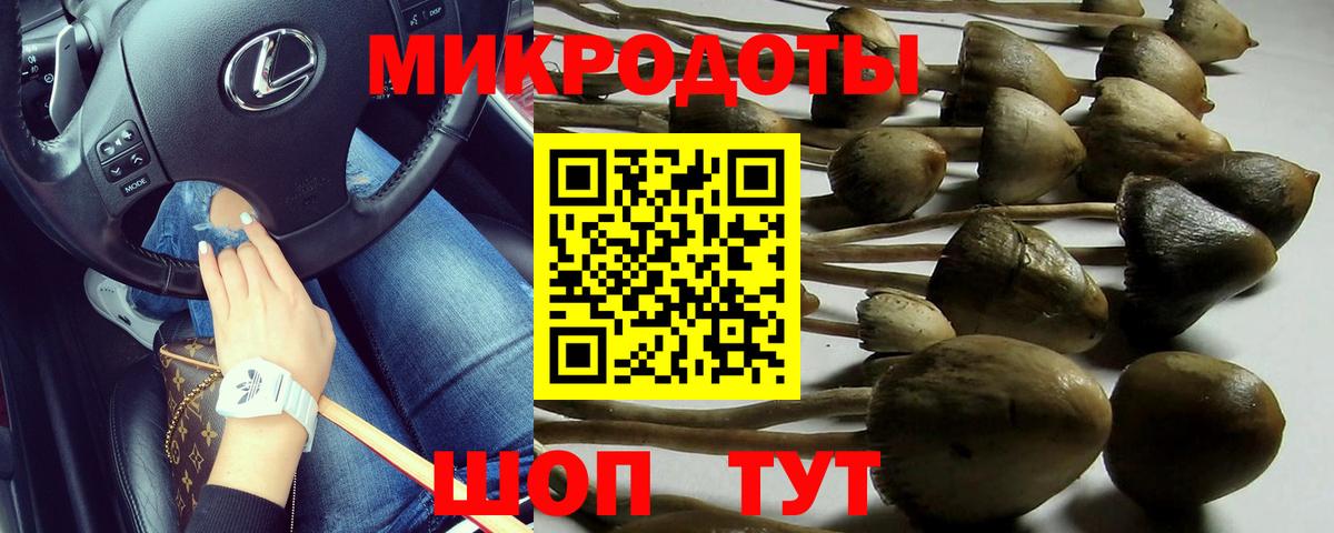 магазин  наркотиков  Псилоцибиновые грибы Cubensis  Асино  Галлюциногенные грибы Cubensis 