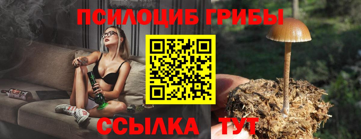 Галлюциногенные грибы Cubensis  цены   Асино  Вход с VPN 