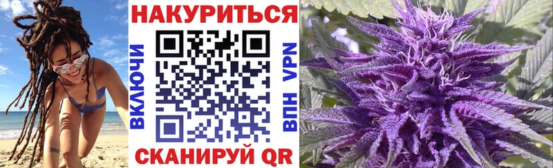 Конопля планчик Асино